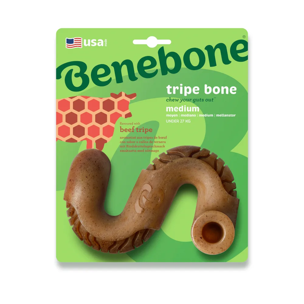 Pens Bot Medium kauwspeeltje van Benebone – productfoto
