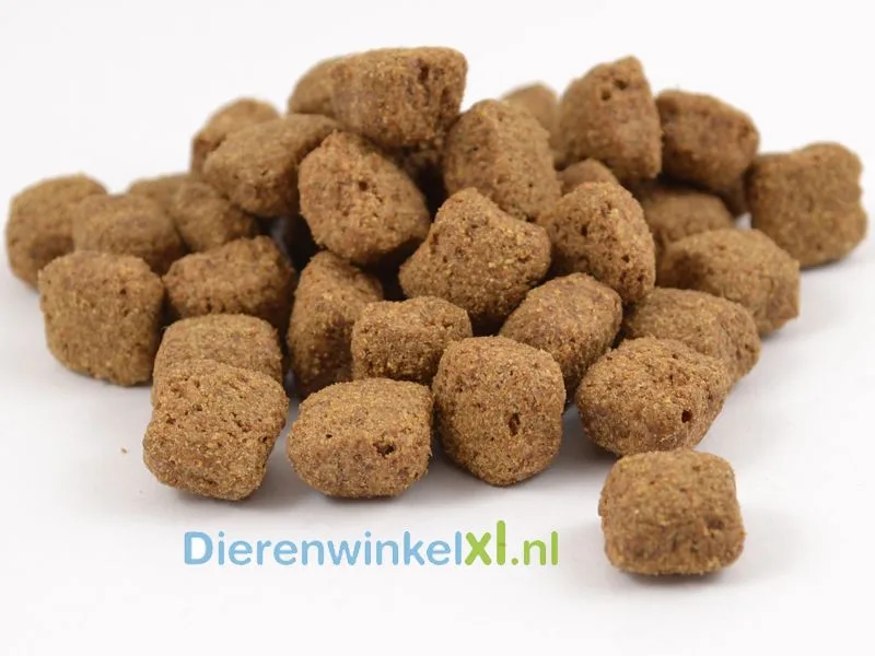 Basic Maxi van Bikkel – productfoto