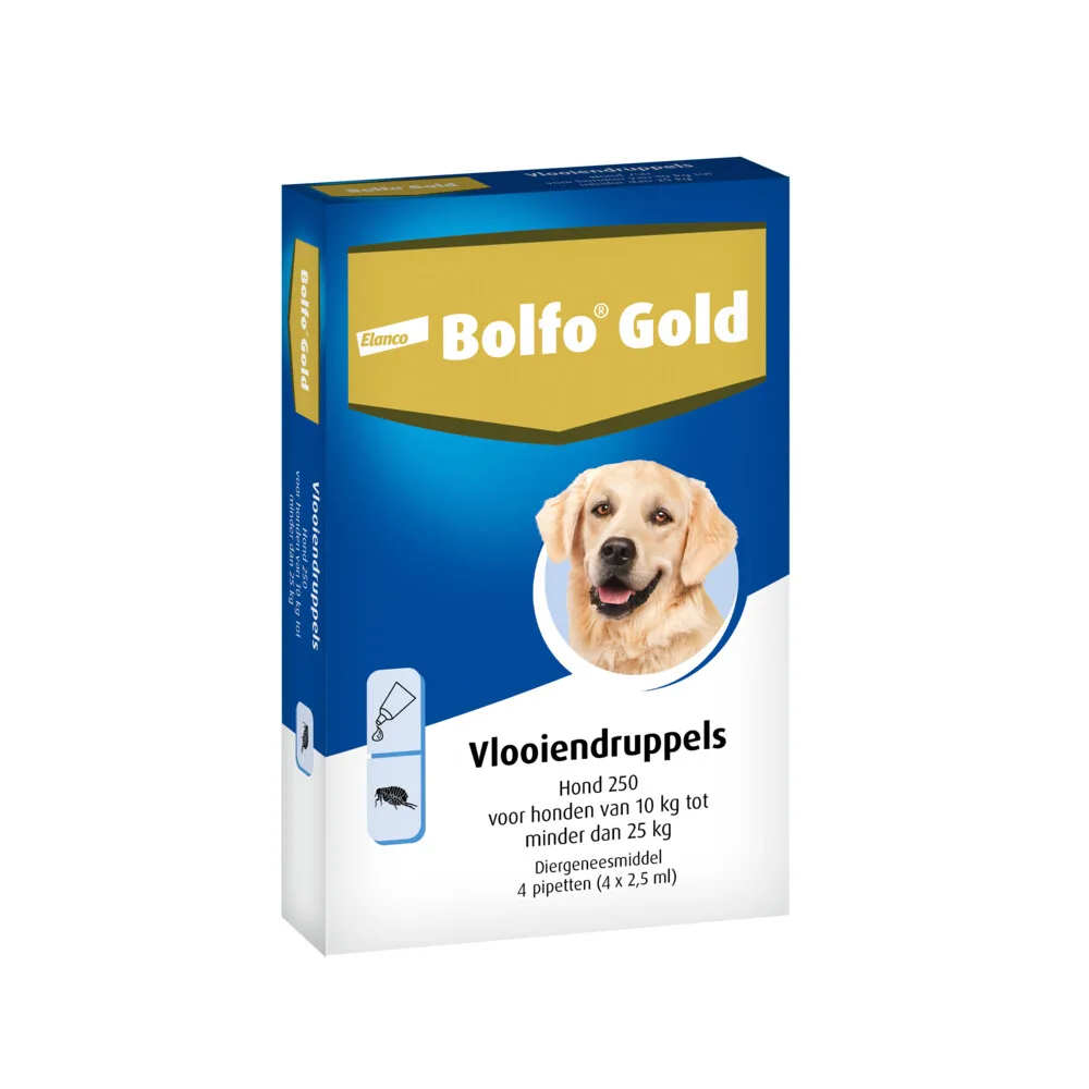 2x Bolfo Gold Anti Vlooiendruppels Hond 10 - 25 kg 4 pipetten van Bolfo – productfoto