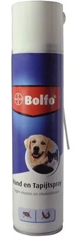 Mand en Tapijtspray
