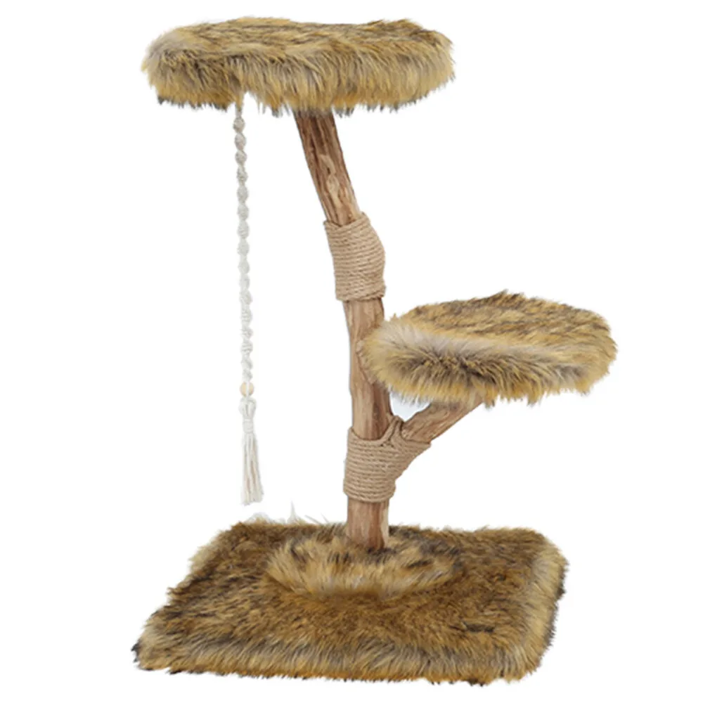 Klimboom Prunus Grizzly Bruin 85 cm van Boony – productfoto