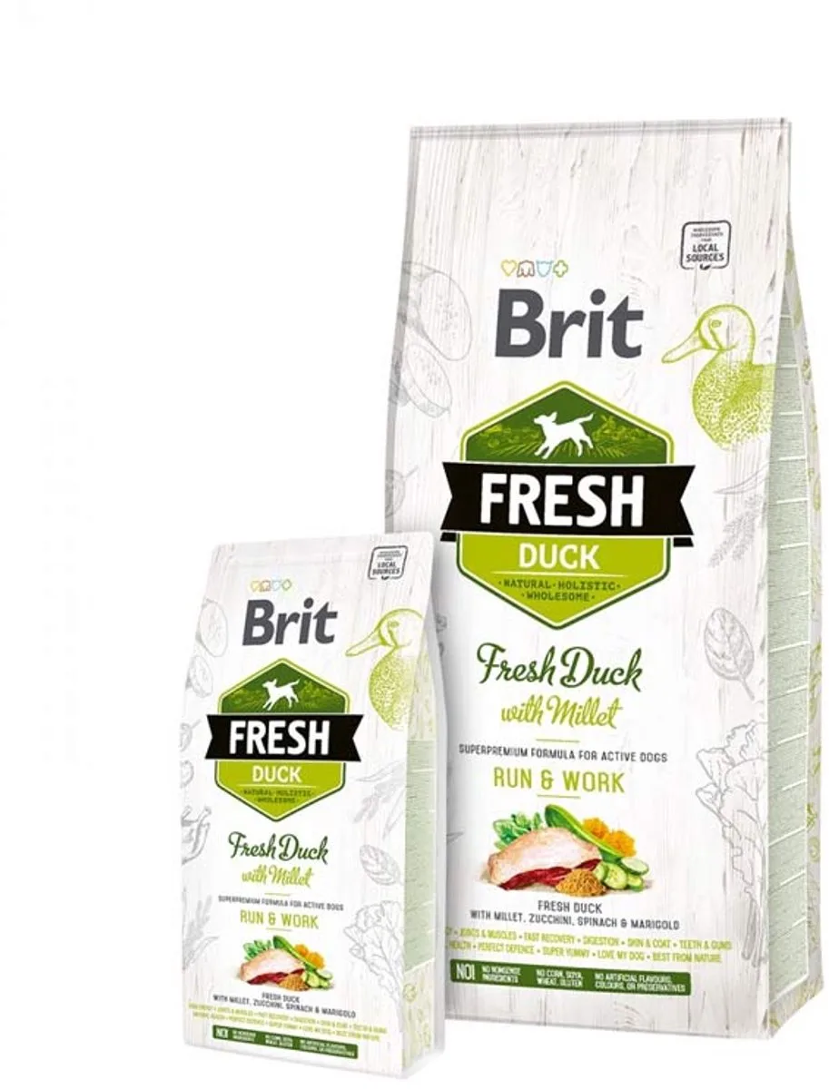 Fresh Duck with Millet Active Run & Work van Brit – productfoto