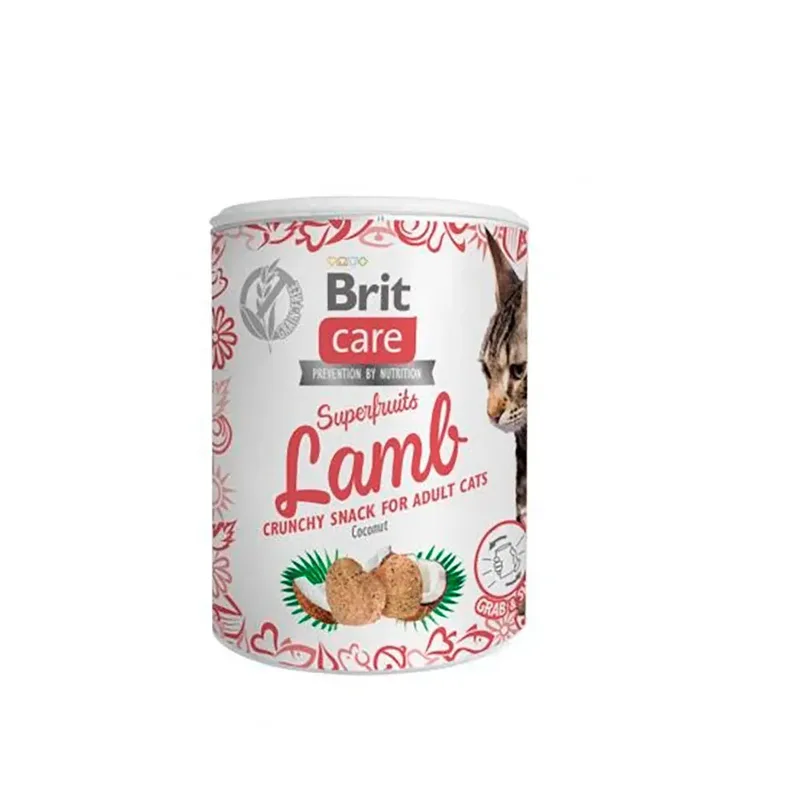 Snack Pour Chat à L´agneau Et Aux Superfruits 100g von Brit – Produktfoto