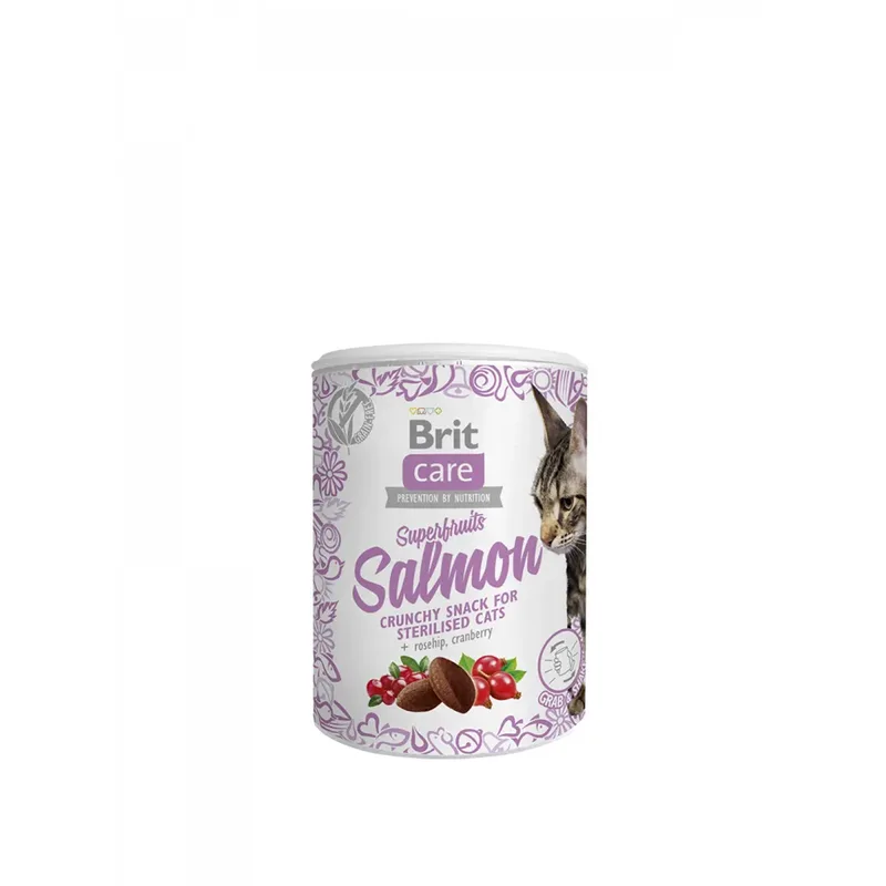 Verzorgende Snacks Superfruits Voor Volwassen Kat Zalm 6x100g by Brit – product photo