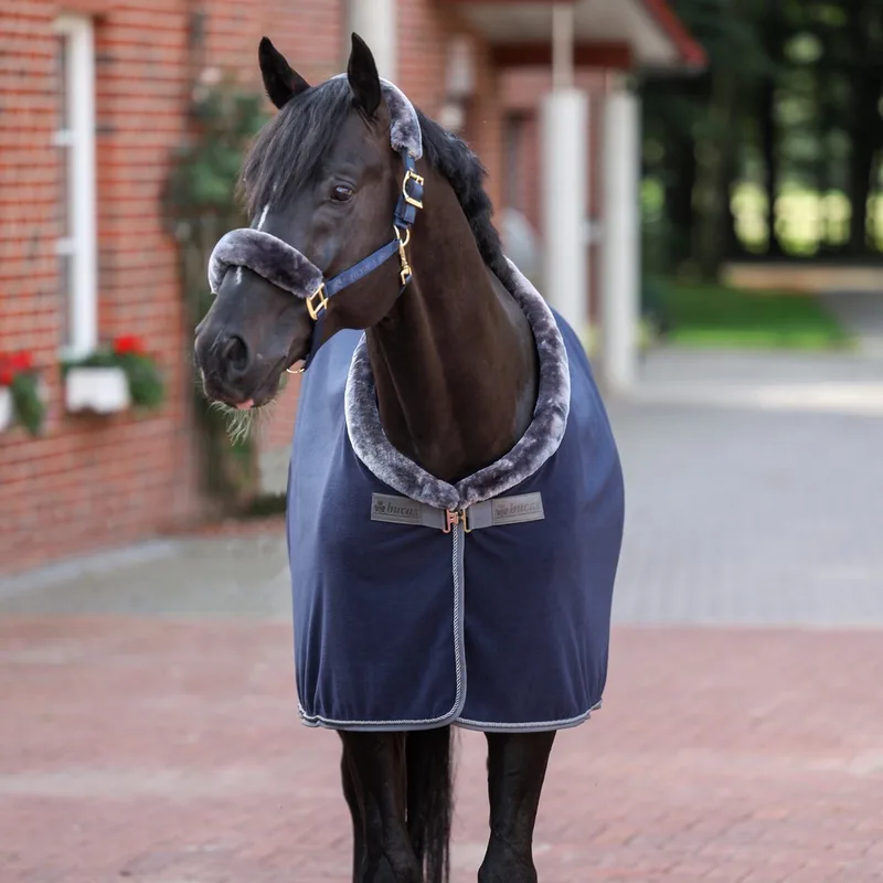 Fleecedeken Bucas Show-line 600gr - 155/208 by Bucas in Donkerblauw-grijs – product photo