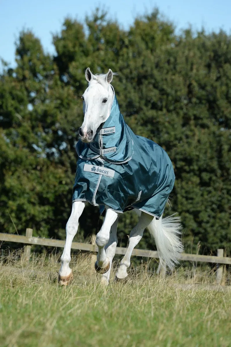 Halsstuk Bucas Atlantic Combi de Bucas en Vert – photo produit
