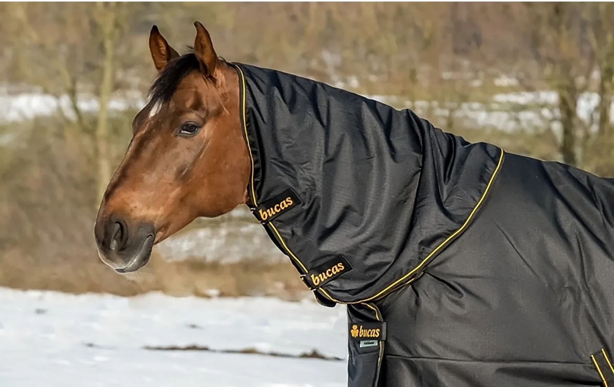 Halsstuk Bucas Irish Turnout Combi 50gr - 115/152 de Bucas en Zwart-goud – photo produit