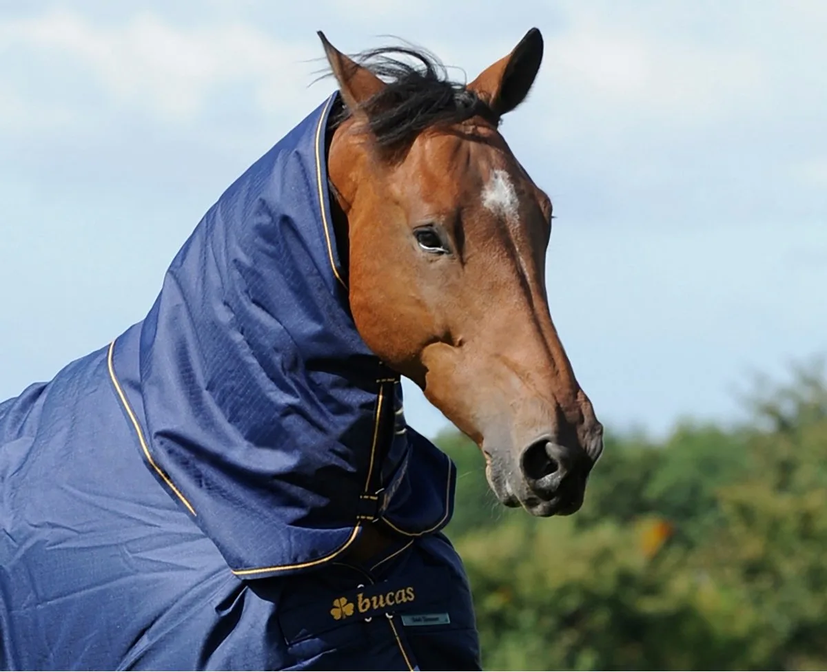 Halsstuk Bucas Irish Turnout Combi 50gr - 155/208 von Bucas in Donkerblauw-goud – Produktfoto