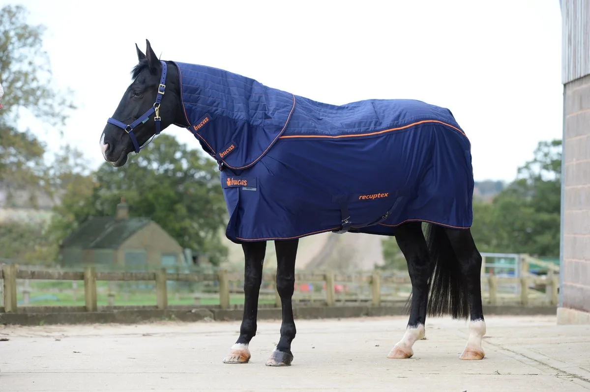 Halsstuk Bucas Therapy - M de Bucas en Donkerblauw-oranje – photo produit