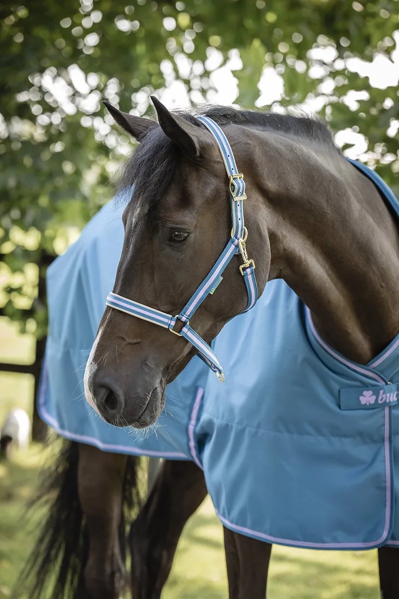 Halster Bucas Dublin Aw26 by Bucas in Blue – product photo