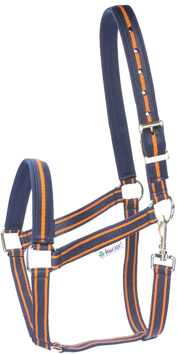 Halster Bucas Dublin fra Bucas i Donkerblauw-oranje – produktbillede
