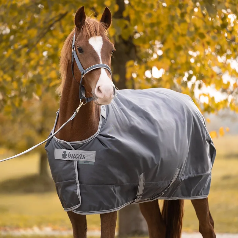 Halster Bucas Dublin Iron gate/Silver - F/S | Halstertouw paard de Bucas en Argent – photo produit
