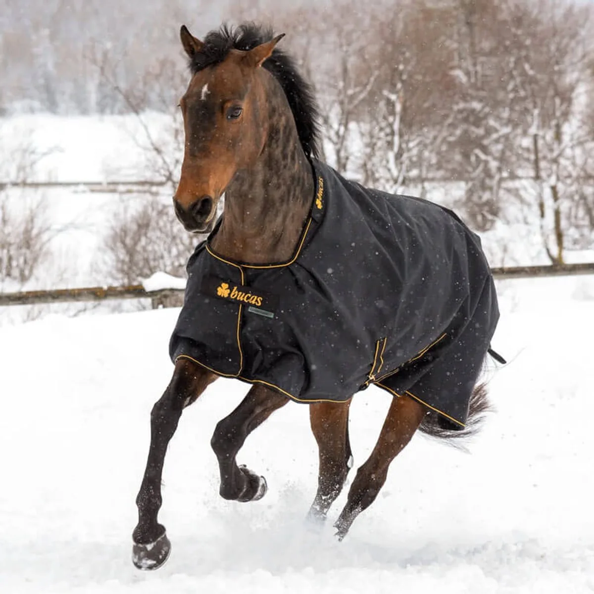 Irish Turnout 100 Grams Zwart/Goud - 215 de Bucas en Noir – photo produit