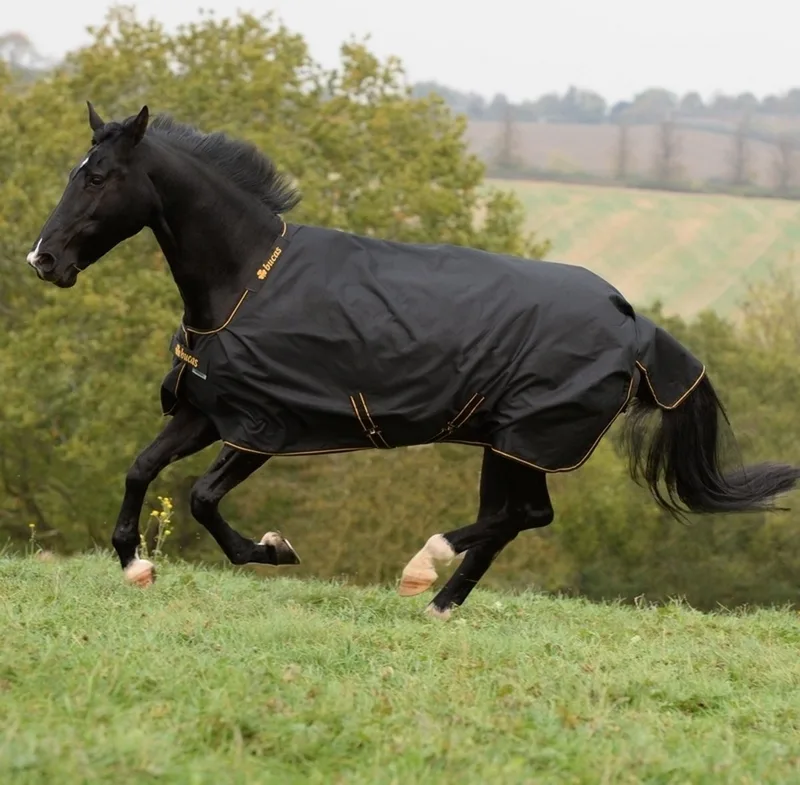 Irish Turnout 100 Outdoordeken 100g 195 de Bucas en Noir, Or – photo produit