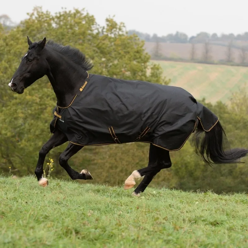 Irish Turnout 100 Outdoordeken 100g 205 by Bucas in Black, Gold – product photo