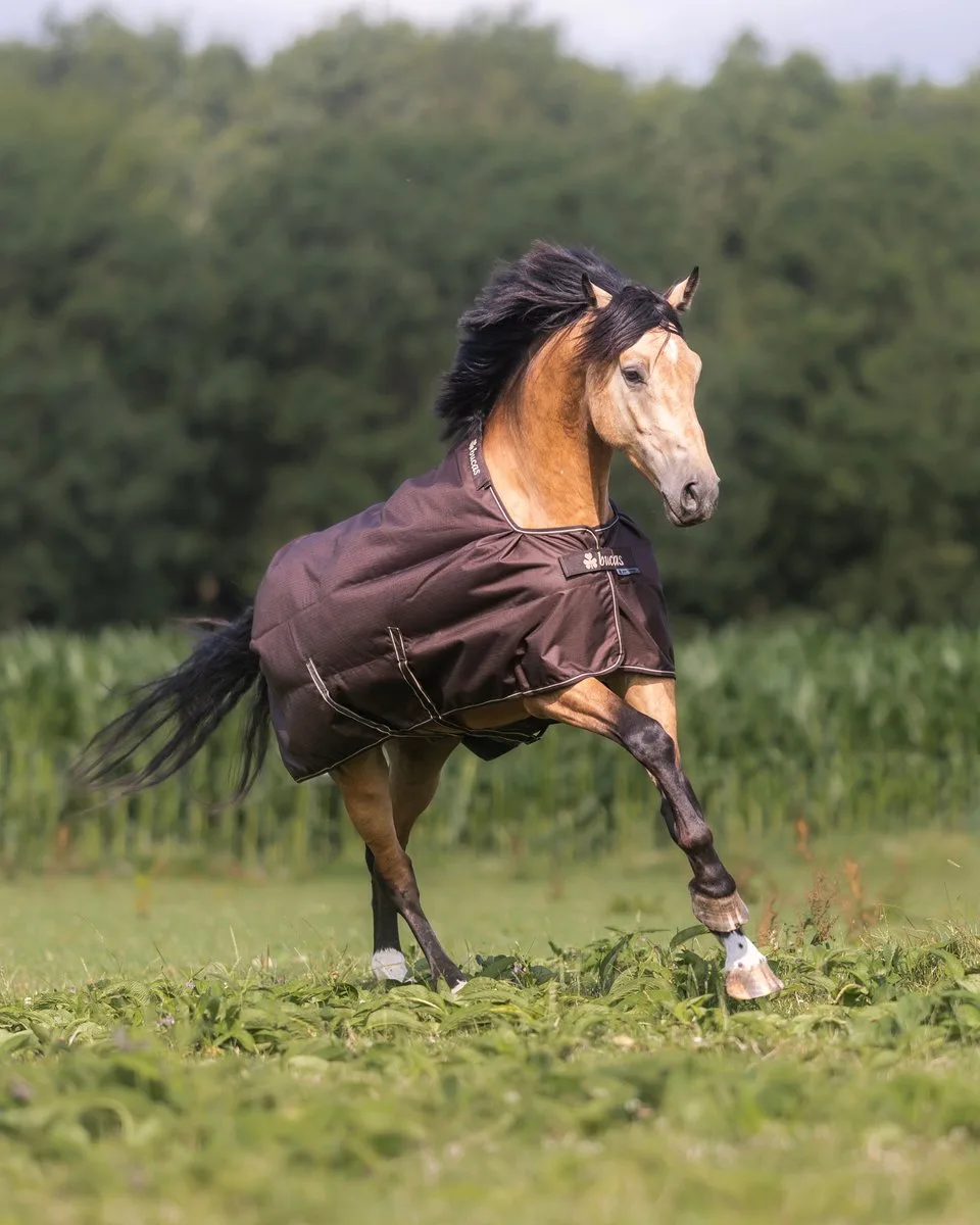 Irish Turnout 50 + Neck Outdoordeken met Hals 50g 205 von Bucas in Espresso – Produktfoto