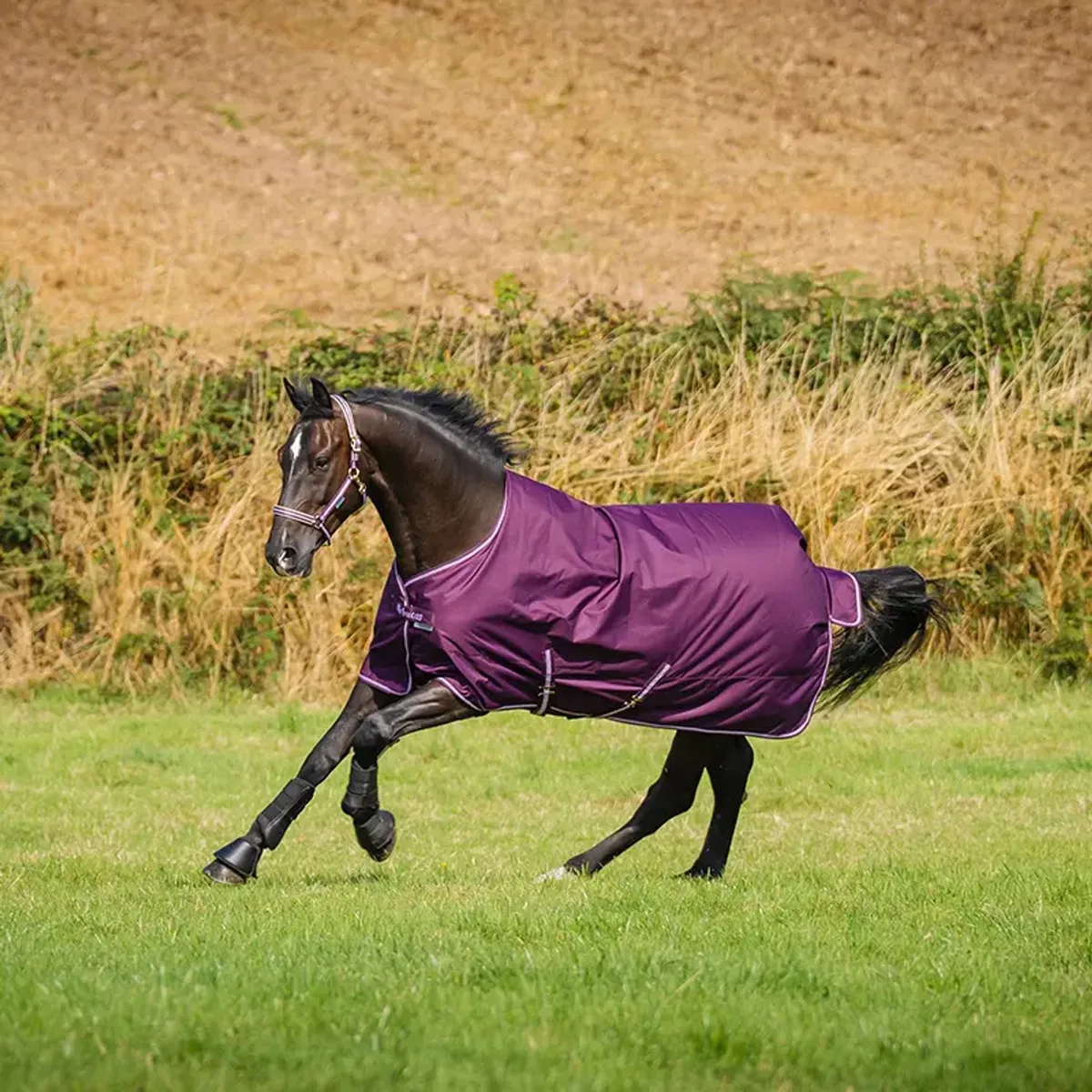 Lichtgewicht paardendeken voor buiten Bucas Freedom 0g de Bucas en Blackberry – photo produit