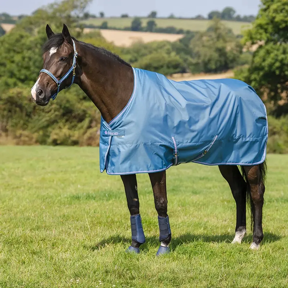 Lichtgewicht paardendeken voor buiten Bucas Freedom 0g de Bucas en Bosbes – photo produit