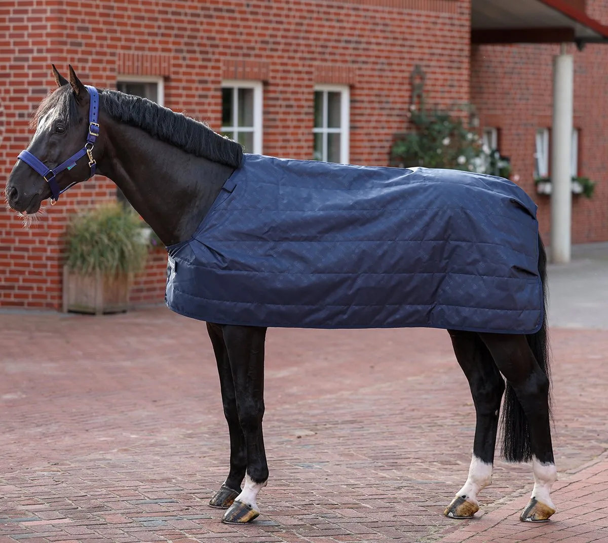 Onderdeken Bucas Liner 100gr - 135/183 de Bucas en Bleu foncé – photo produit