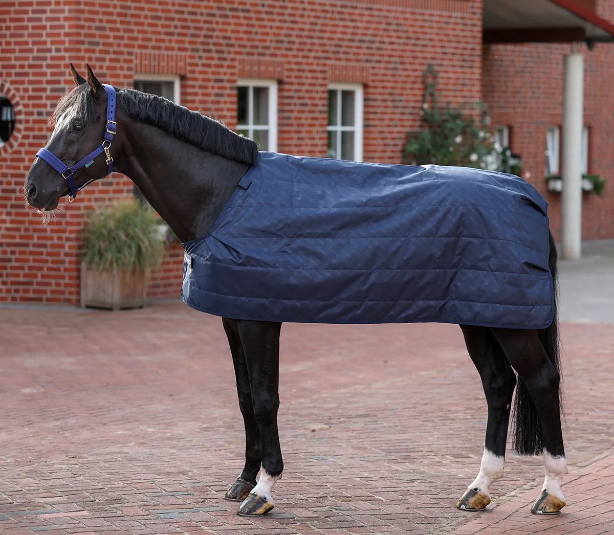 Onderdeken Bucas Liner 200gr - 155/206 de Bucas en Bleu foncé – photo produit