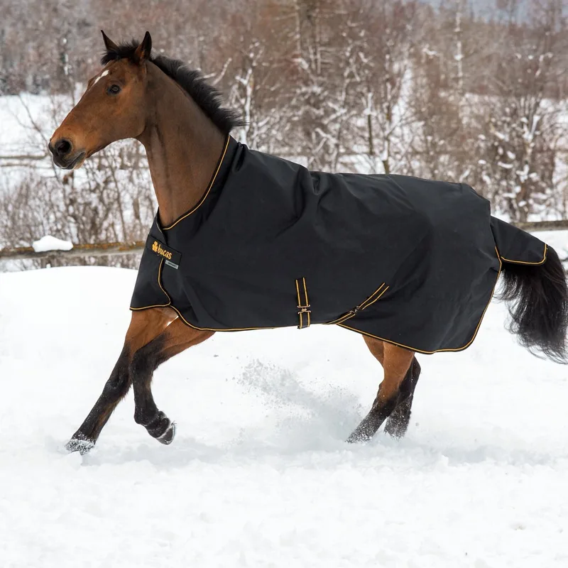 Outdoor paardendeken Bucas Irish 100g by Bucas in Black – product photo