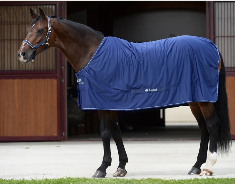 Outdoor paardendeken met halsbedekking Bucas Shamrock Power de Bucas en Marine – photo produit