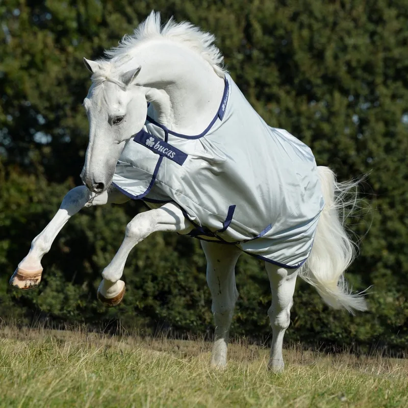 Power Turnout - Paardendeken - 195 von Bucas in Silber – Produktfoto