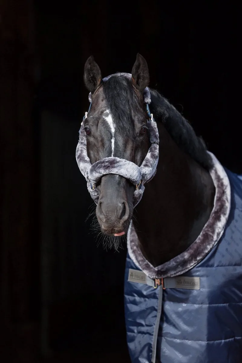 Show-Line Full Fur Halster Pony fra Bucas i Mørkeblå – produktbillede