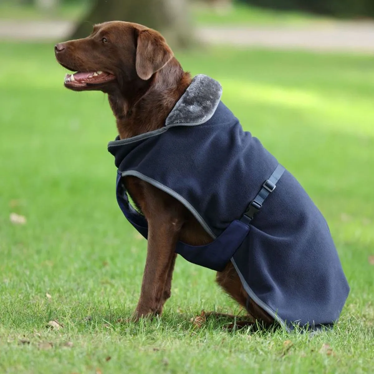 SHOW-LINE HONDENDEKEN by Bucas in Donkerblauw-grijs – product photo