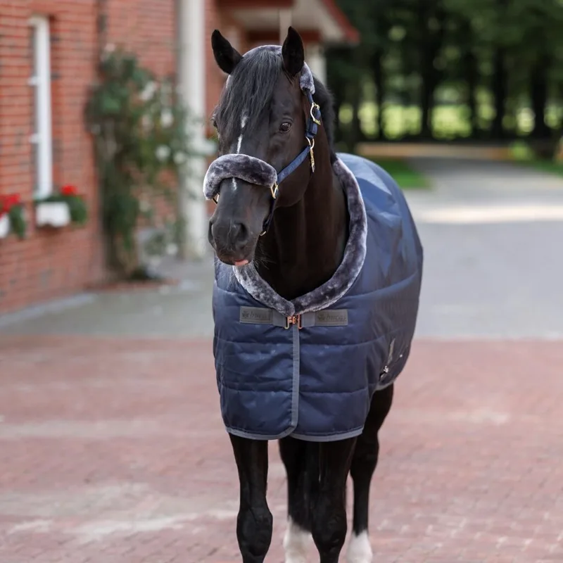 Show Line Staldeken 150 gr SF Navy/Grey - 145-195 - Regendeken | Staldekens paard de Bucas en Bleu – photo produit