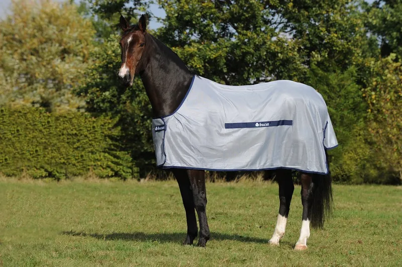 Vliegendeken Bucas Buzz Off Classic - 125/168 by Bucas in Blue – product photo