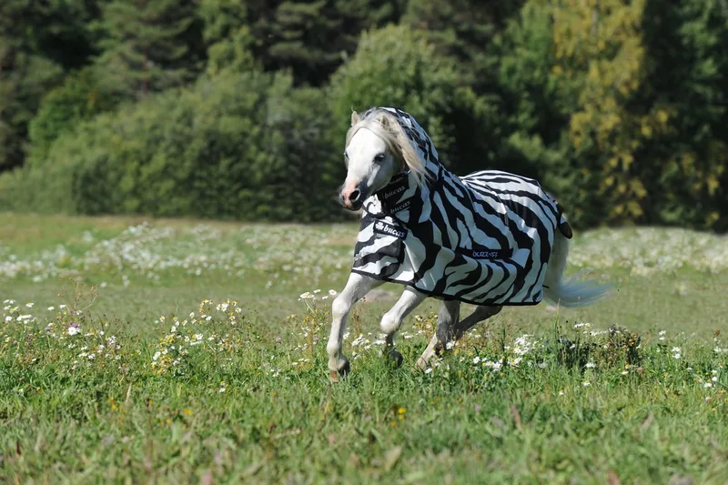Vliegendeken Bucas Buzz-off Zebra Full Neck Zebra - 100/130 von Bucas in Zebra – Produktfoto