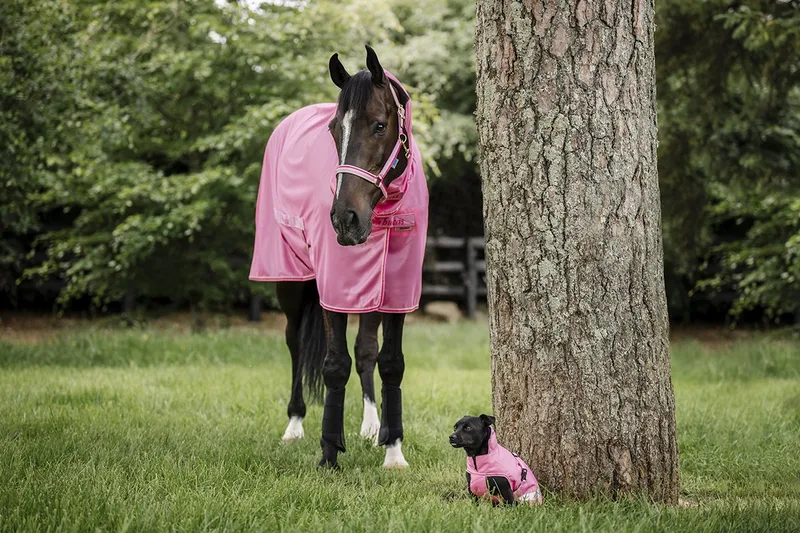 Vliegendeken Bucas Freedom Ss26 - 140/191 von Bucas in Rosa – Produktfoto