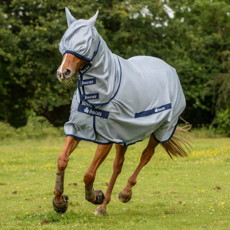 Vliegendeken Buzz-off Full Neck - 175 von Bucas in Blau – Produktfoto