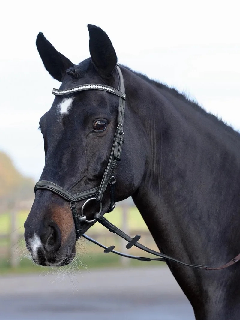 Hoofdstel Emotion - Zwart - Cob von Busse – Produktfoto