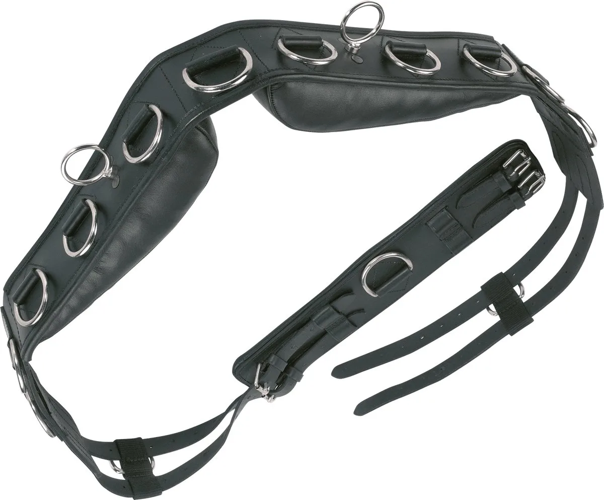 Longeersingel Professional Leder - WB (170-240 cm) fra Busse i Sort – produktbillede