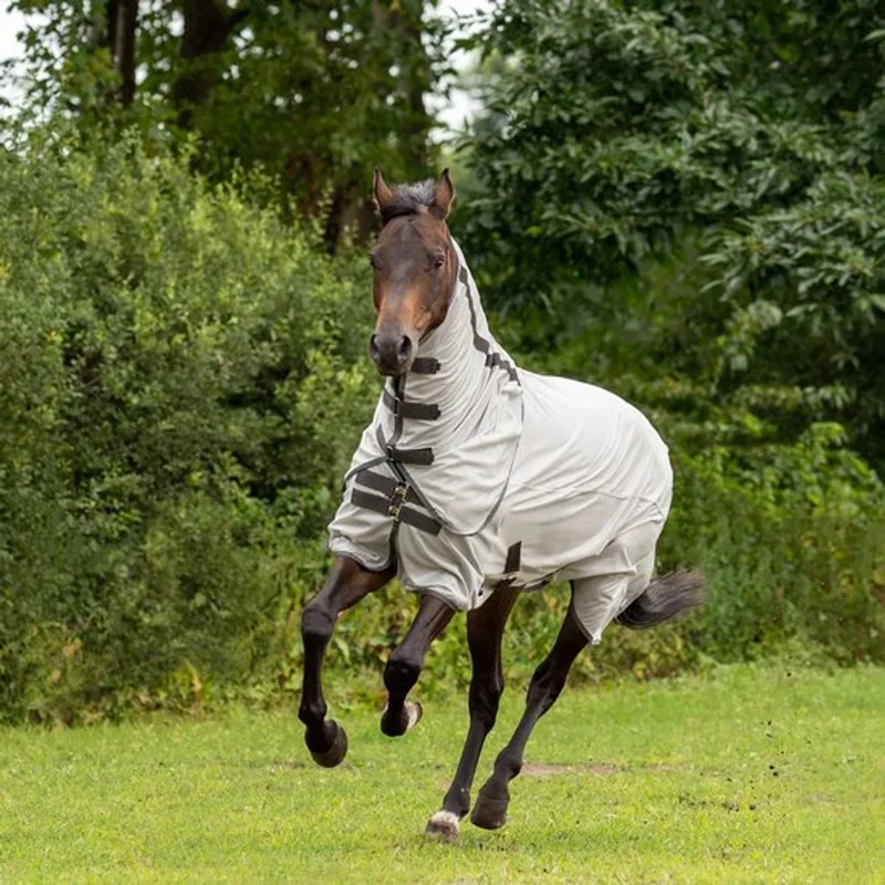 Paddock Vliegendeken Sunshine II Silver 155/205 cm von Busse in Silber – Produktfoto