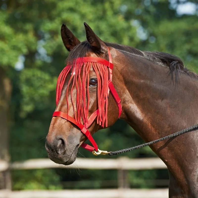 Pony Halster met Franjes - Zonder Beslag - Klittenband - Rood fra Busse – produktbillede