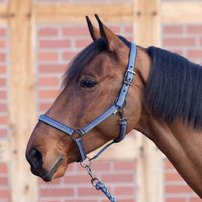 Smooth Soft Pony Halster Dubbel Katoen Aarde Marineblauw by Busse – product photo
