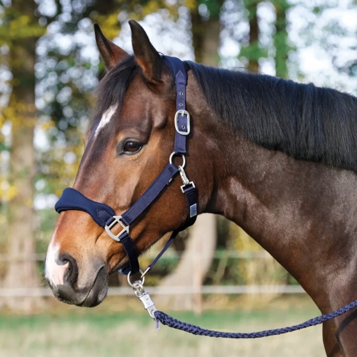 Soft Air Kantara voor Pony's - Ademend & Comfortabel de Busse – photo produit