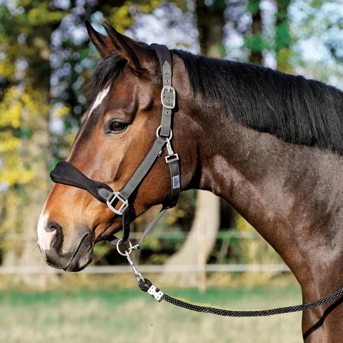 Soft Air Kantara voor Pony's - Tijdelijk en Comfortabel van Busse – productfoto