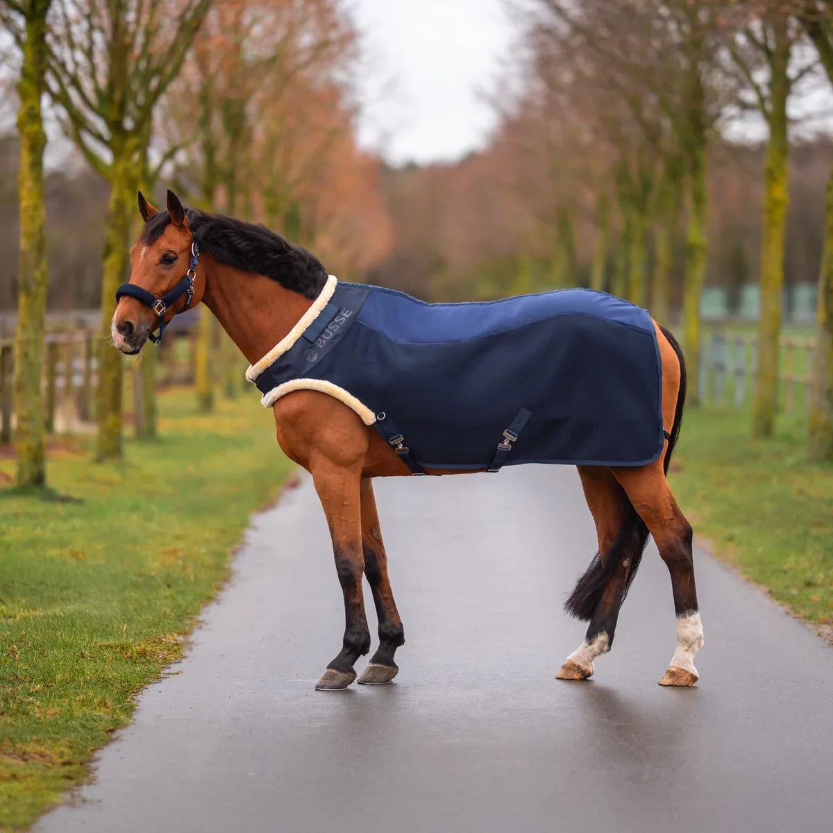 Stapmolendeken 3D Air FL-Navy-135-185 fra Busse – produktbillede