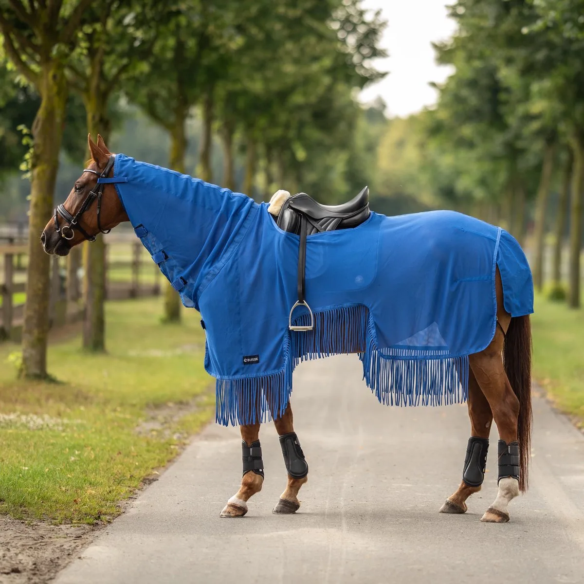 Uitrijdeken Moskito Franjes III-Royal Blue-155-205 de Busse – photo produit