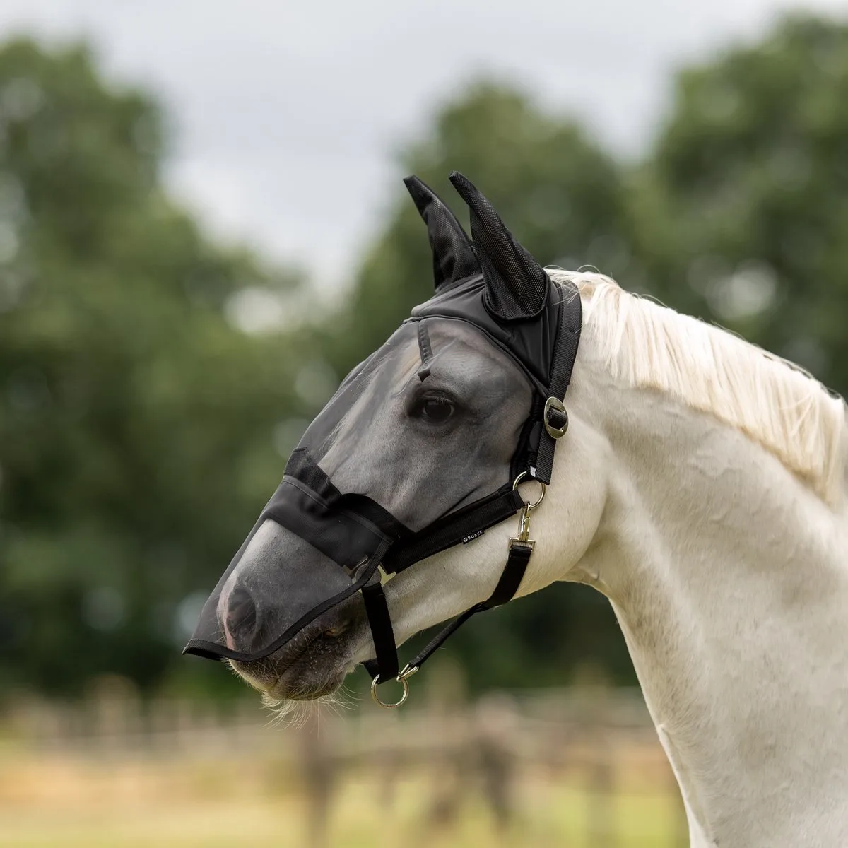 Vliegenhalster Fast-Cob van Busse – productfoto