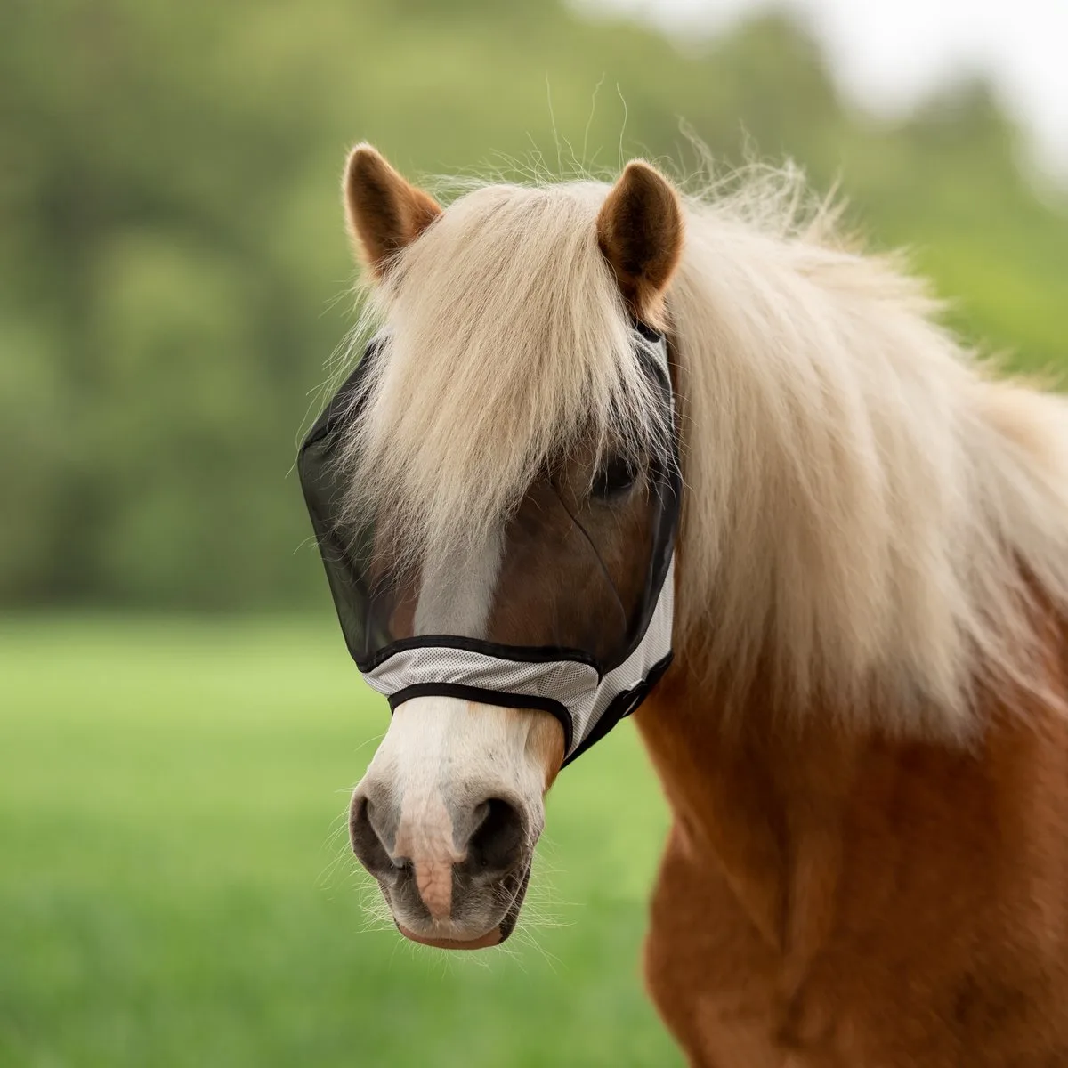 Vliegenmasker Fly Guard Free-Lichtgrijs-Pony van Busse – productfoto