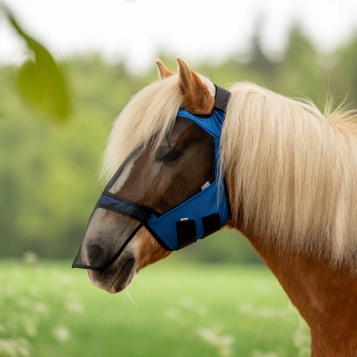 Vliegenmasker Fly Guard Free Plus-Blue-Cob van Busse – productfoto