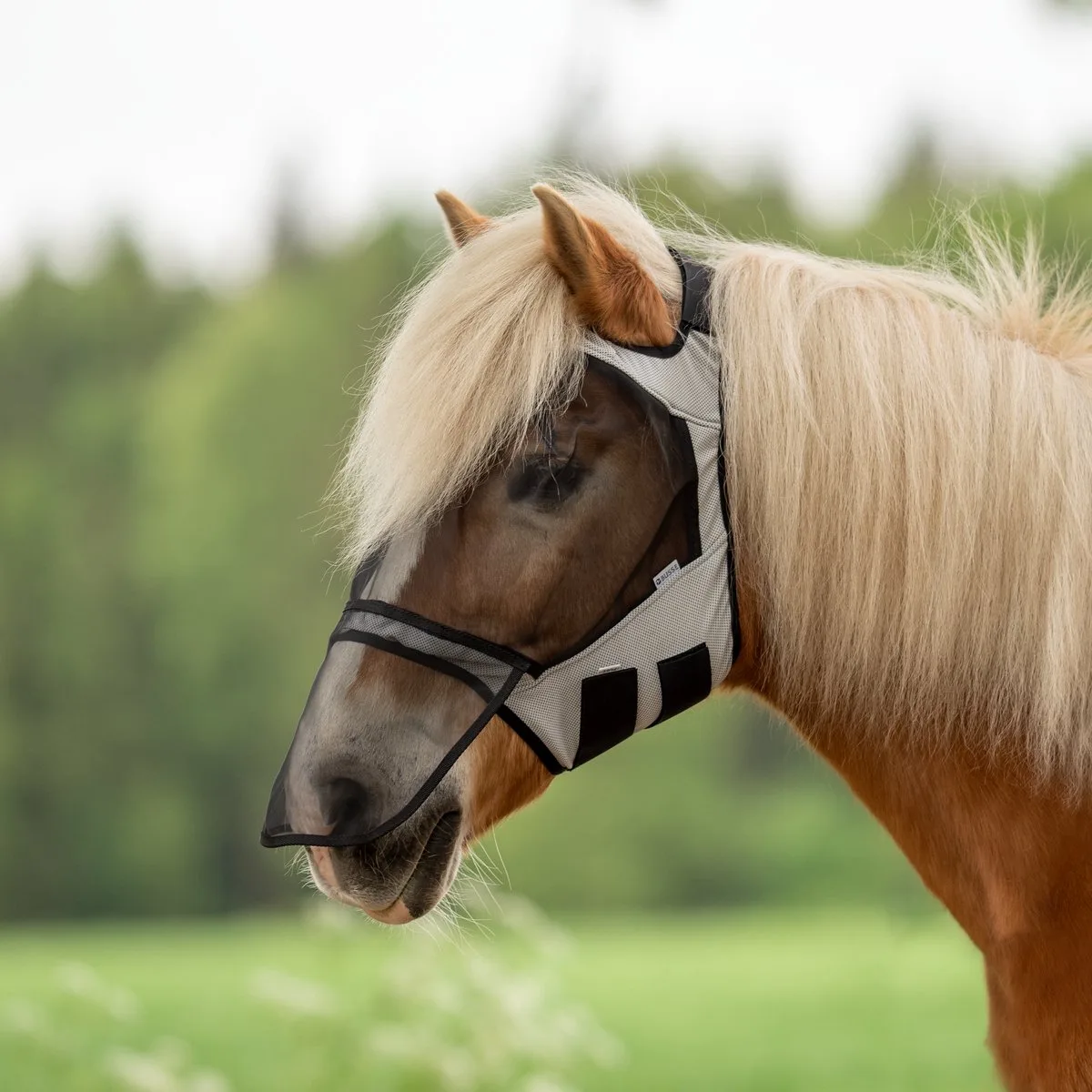 Vliegenmasker Fly Guard Free Plus-Light Grey-Cob van Busse – productfoto