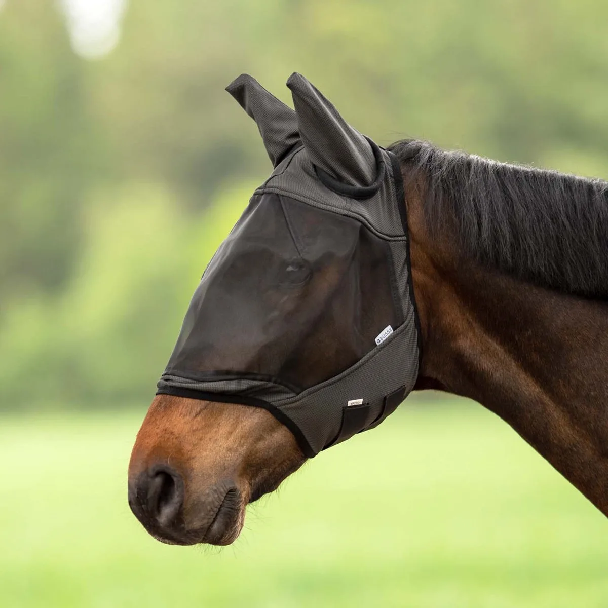 Vliegenmasker Fly Guard II-Black-Cob från Busse – produktbild