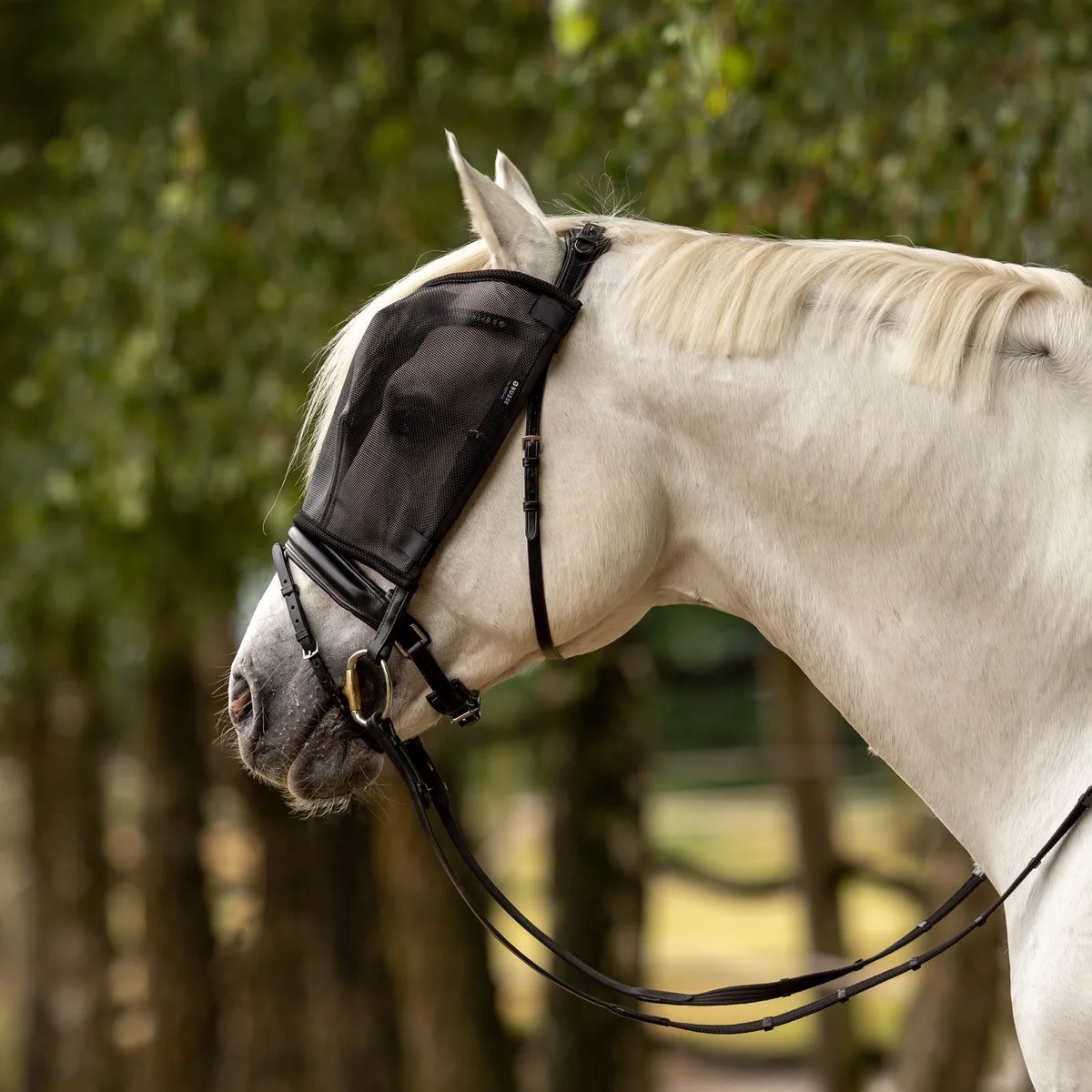 vliegenmasker riding-Cob by Busse – product photo