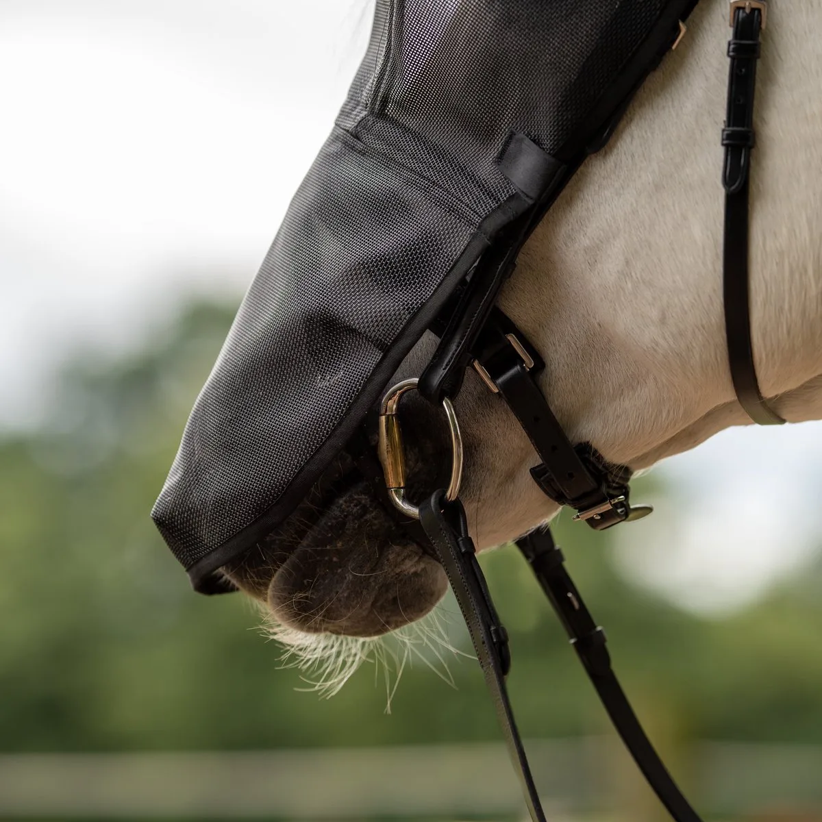 vliegenmasker riding-Full by Busse – product photo